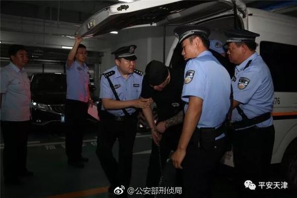 你的不自律不只是因為懶