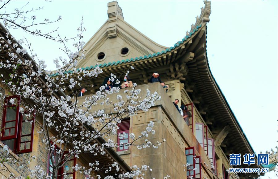 揭秘美名校招生舞弊案:花800萬進(jìn)耶魯 這名學(xué)生這樣做的