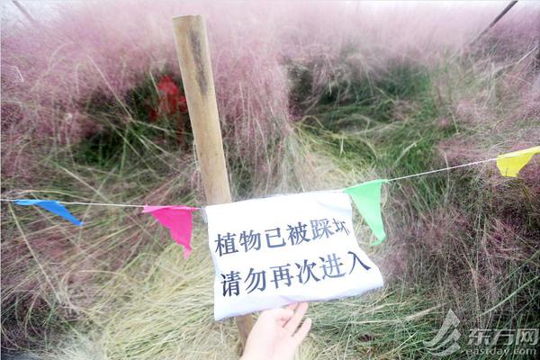 蘇州高新：立足高新，轉型升級，經營績效持續實現新突破