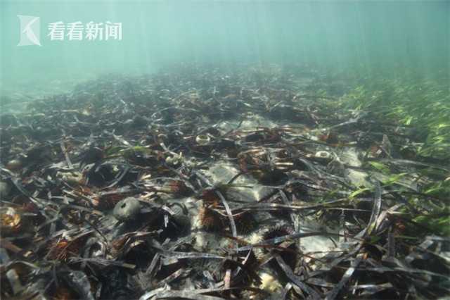 一場海戰催生現代天氣預報