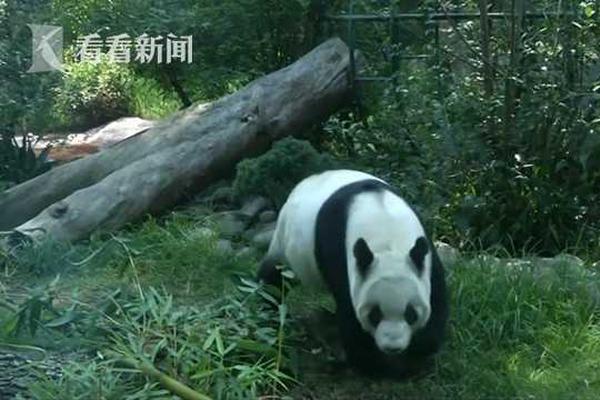 一場海戰催生現代天氣預報