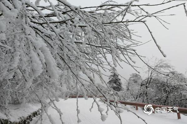民政部:北方暴雨75人死亡失蹤