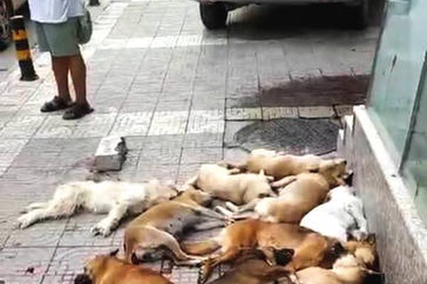 國資改革重磅文件出臺，允許國企開展股權(quán)激勵