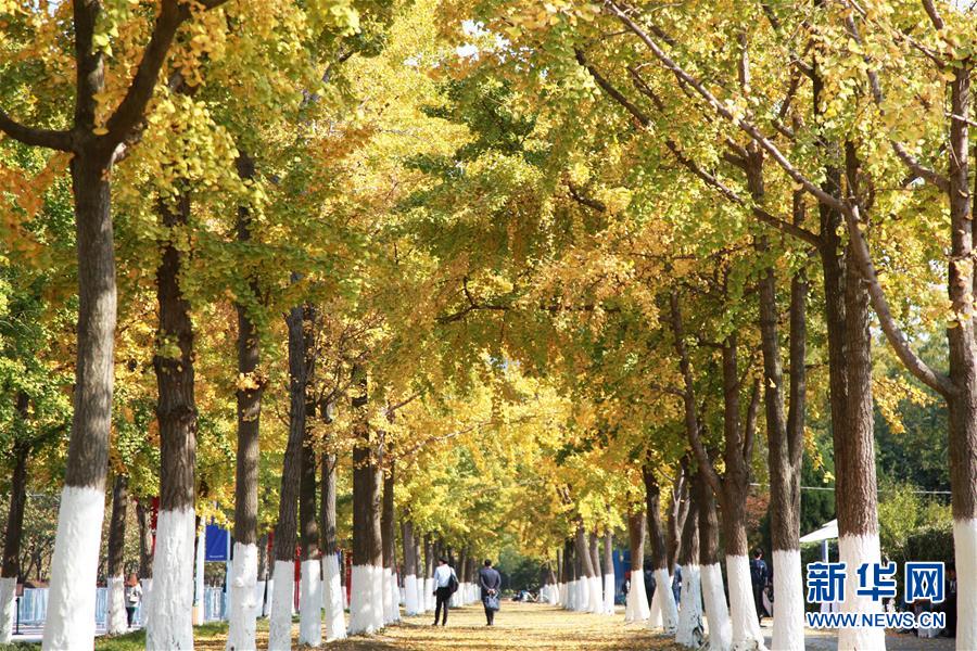 小紅書代寫產業鏈：編“種草”筆記 花錢上熱門推薦