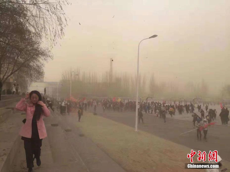 北極熊寶寶跌落冰崖 熊媽攀爬尋子