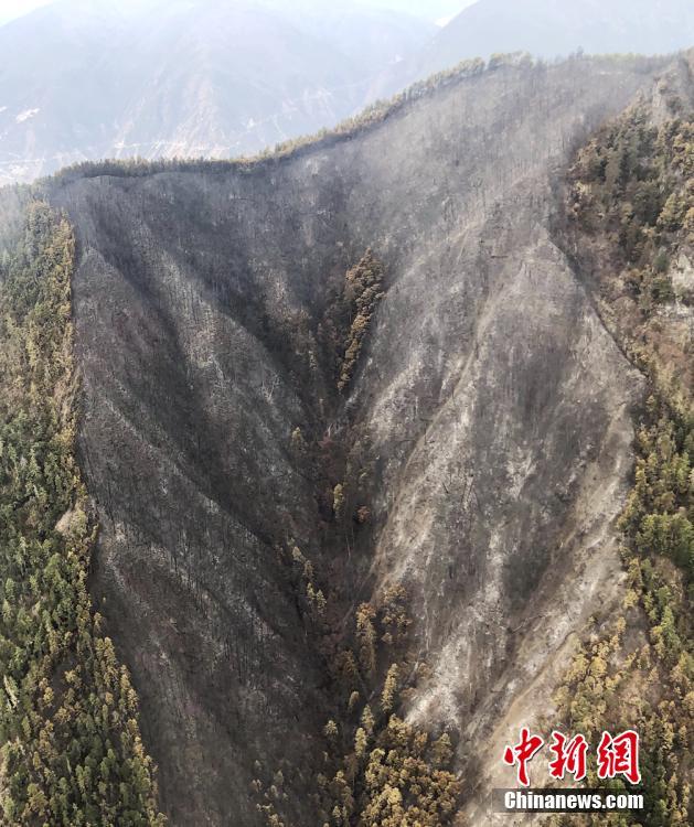 不拴繩寵物狗追咬男童 狗主：未出聲沒注意