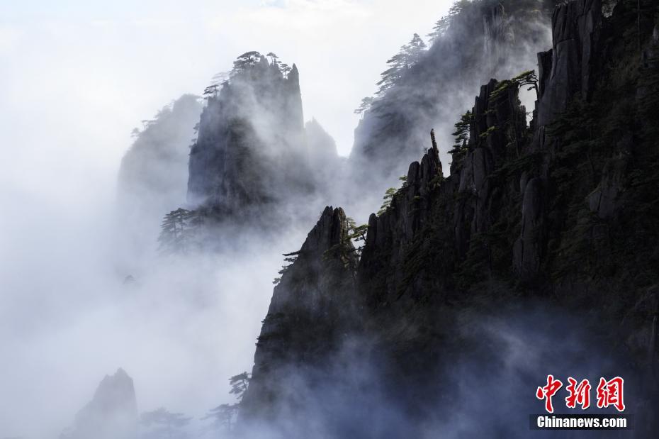 堅持不國產的雷克薩斯 你會挺TA么