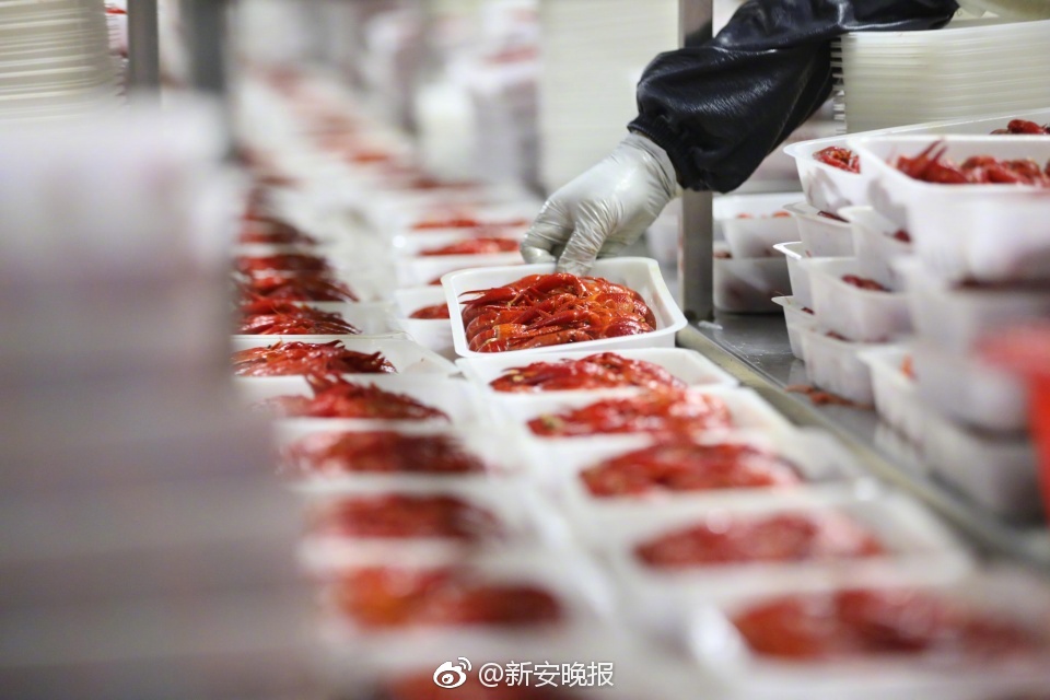 認為自己并沒那么重要的安娜伊思·馬田