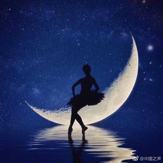2019年12星座開財運大法