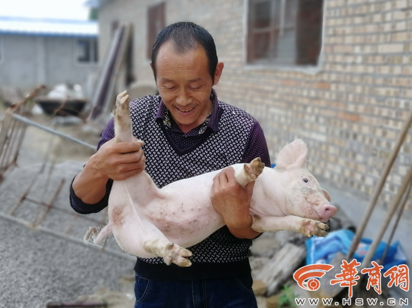 親自去美國拍馬屁的安倍 把國內(nèi)輿論...