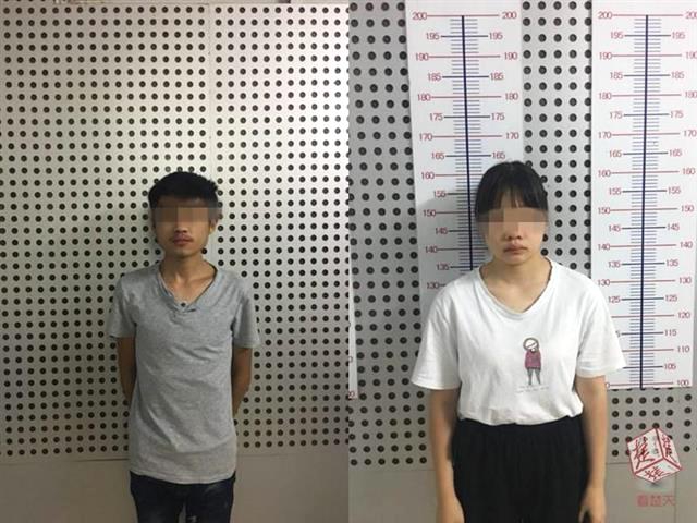 科爾批技犯累積禁賽制度盼改革：季后賽走更遠反不利