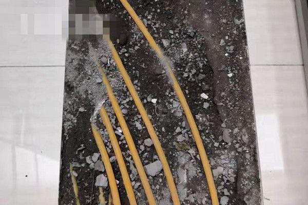 菩提為何狠心將孫悟空趕出師門？生死簿上有答案！