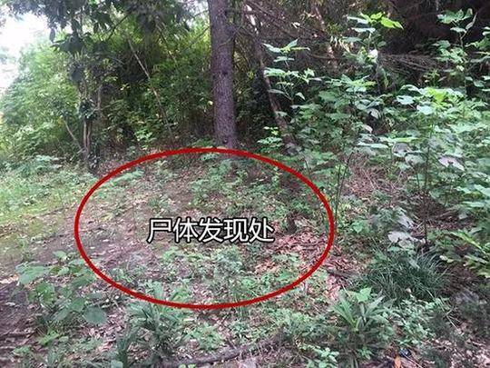 衡陽書記:政府要給企業(yè)提供母親式服務(wù)