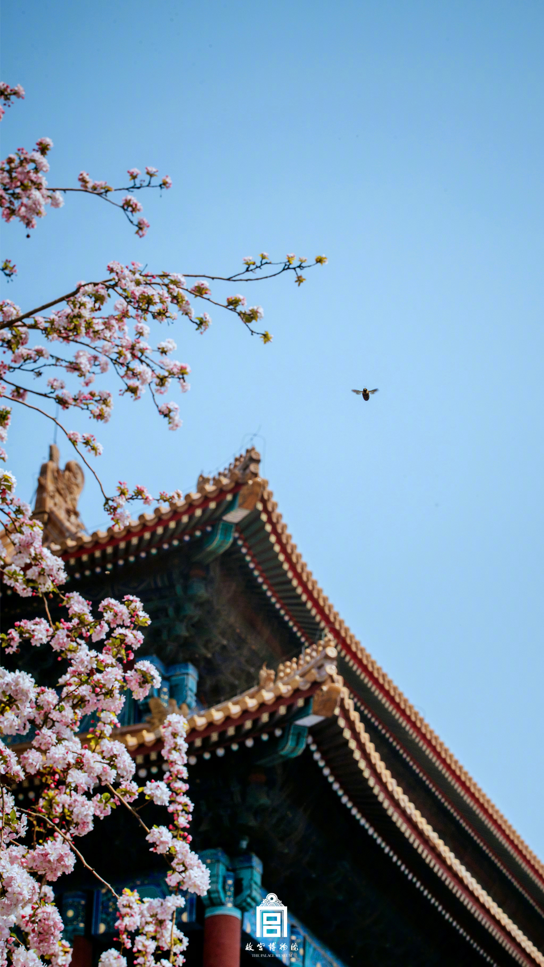 粵媒：G2犯規(guī)過多致比賽破碎 廣東并未遇到真正危機(jī)