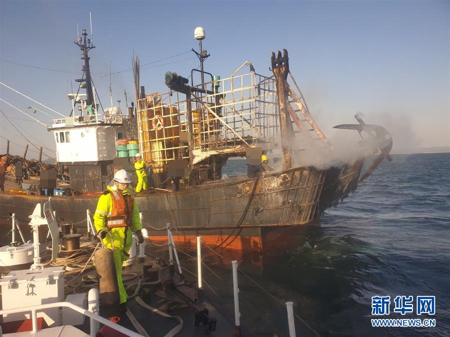 7.0媽媽咪鴨小萌鴨烏龍認