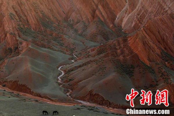 英雄聯盟IG和SKT大比拼，選手數據深入對比，近日巔峰對決