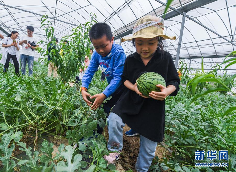 ELLEMEN：日常羨慕——為什么成都人這么悠閑