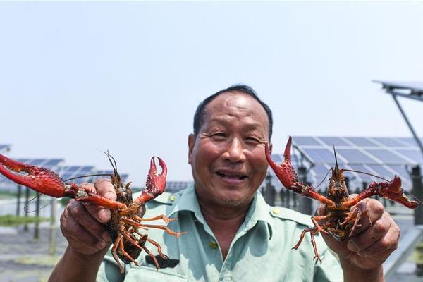 霍建華也難逃中年發(fā)福？只是這發(fā)際線還是很優(yōu)越的